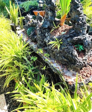 A rock garden with various plants and a small water feature.