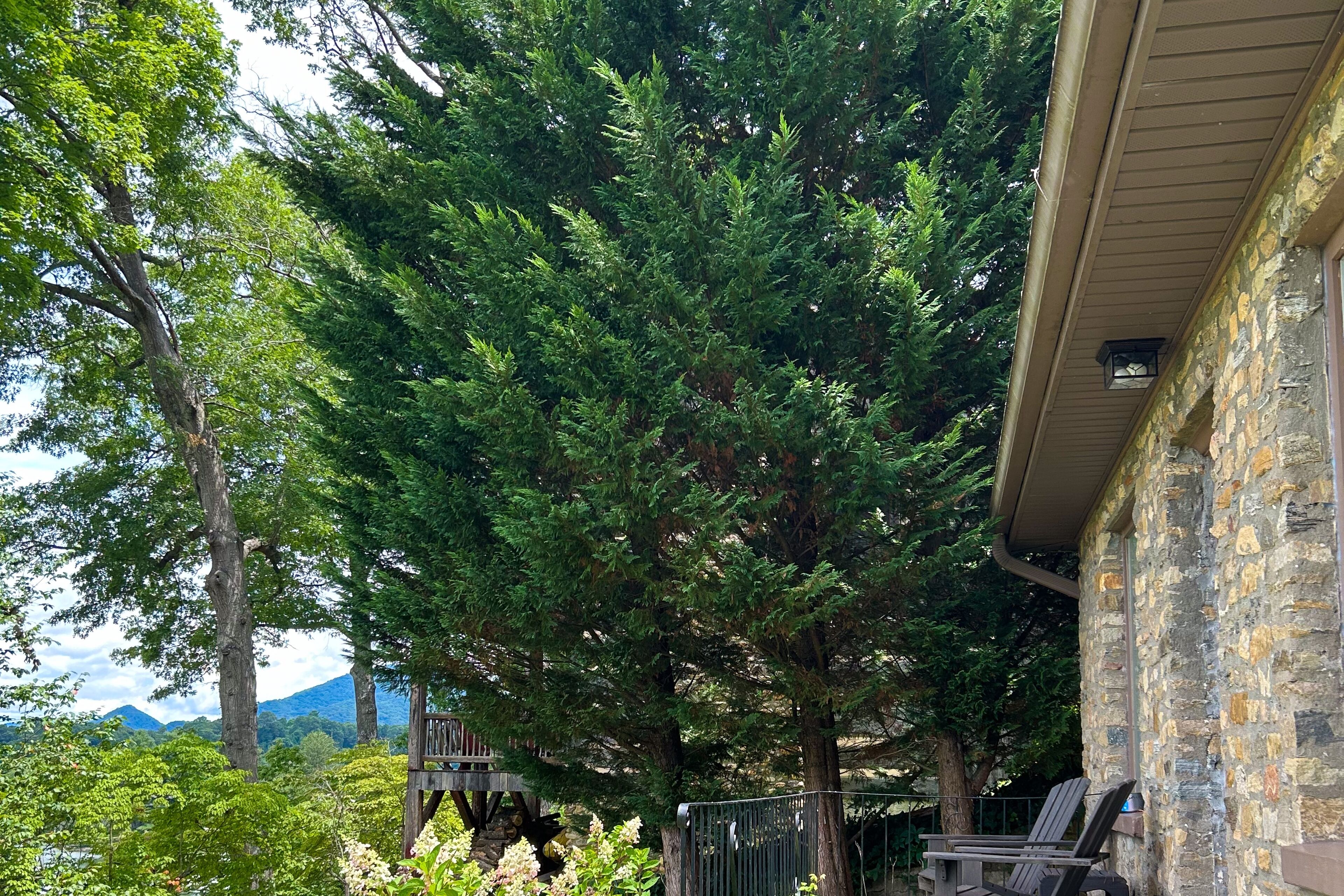 المنطقة المحيطة بالمنشأة