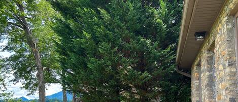 Terrain de lâhĂ©bergement