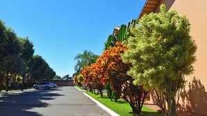 Taman