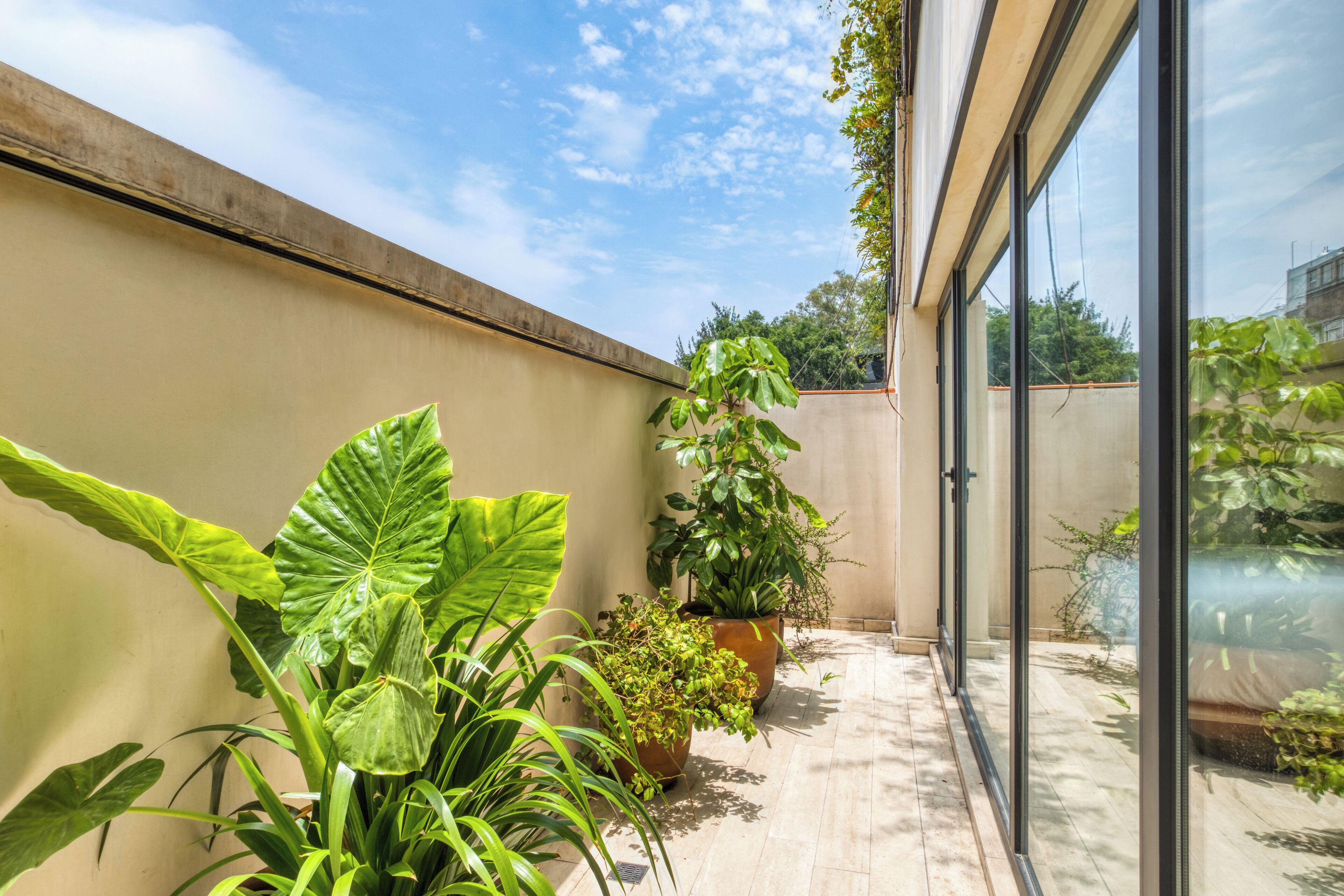 Un balcon agrémenté de plantes en pot, une porte vitrée et une vue sur le ciel.