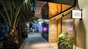 A corridor with a palm tree, a sign for 'Caliza Roma,' and a modern building facade. - Caliza Roma Residences by Tasman (Mexico City)