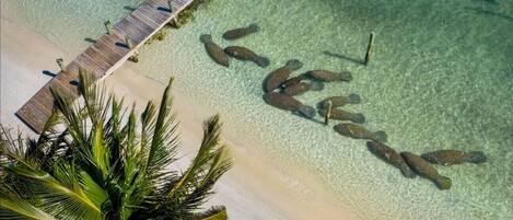 Playa en los alrededores