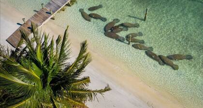 Island life 2 br 2-ba walk 2 beach, Snorkel & Surf