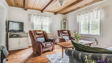 Télévision, cheminée