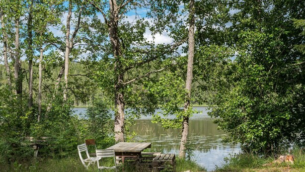 Un banc et une chaise en bois rustique, placés près d’un lac paisible, entouré d’arbres.