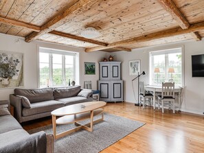 Televisión, chimenea y reproductor de DVD 