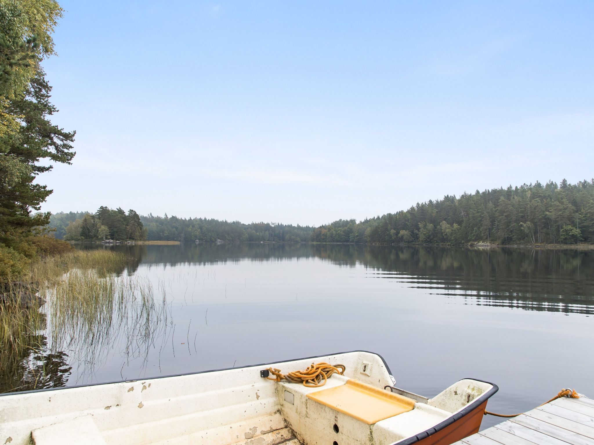 Un bote atracado en un lago tranquilo, con una orilla boscosa al fondo.