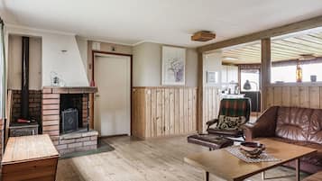 Fernseher, Kamin, DVD-Player