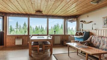 Télévision, cheminée, lecteur de DVD