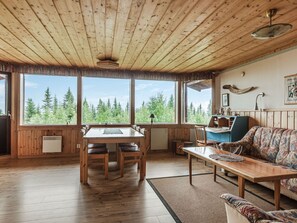 Télévision, cheminée, lecteur de DVD