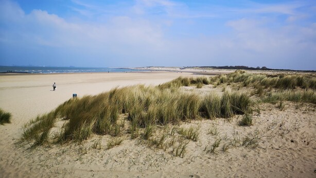 A beach with dunes and a clear sky.