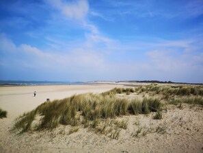 A beach with dunes and a clear sky.