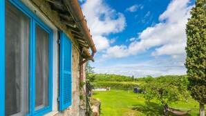 Ein rustikales Gebäude mit blauen Fensterläden und einem Weinberg im Hintergrund.