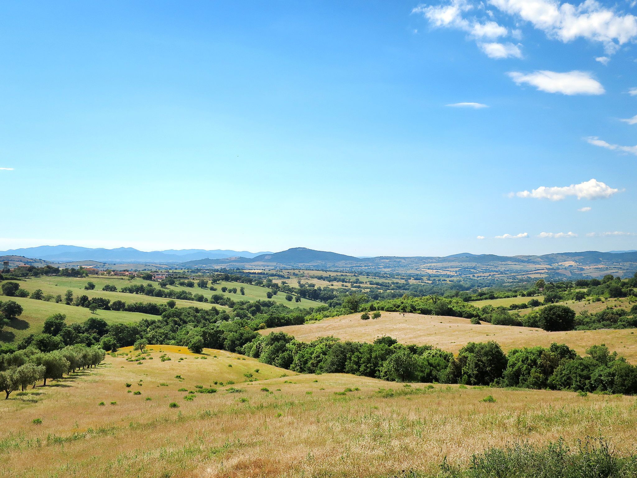Een panoramisch uitzicht op een landelijk landschap met glooiende heuvels, verspreide bomen en verre bergen onder een heldere lucht.