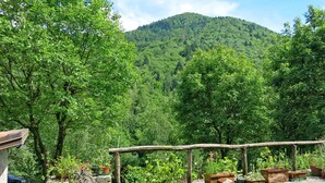 A stone patio with potted plants and a wooden pergola overlooking a lush forest and a mountain. - Casa Polava by Interhome (Valli del Natisone)