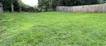 Whole House, sleeps 7, within walking distance to downtown Spartanburg!