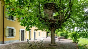 A courtyard with a tree, a wooden pergola, and a brick pathway.