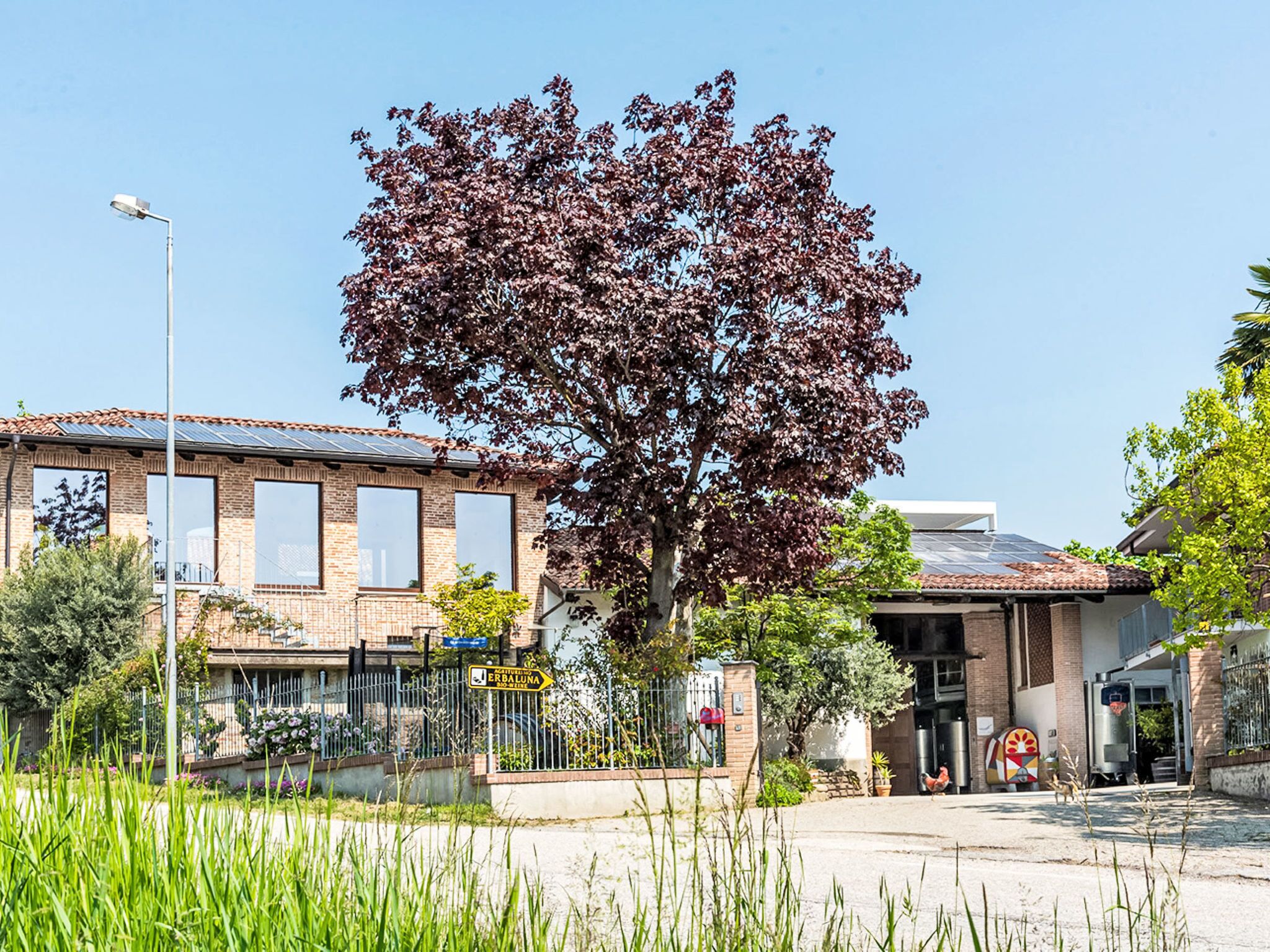 Un edificio con facciata in mattoni, ampie finestre e un albero con foglie rosse di fronte.