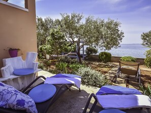 Terras