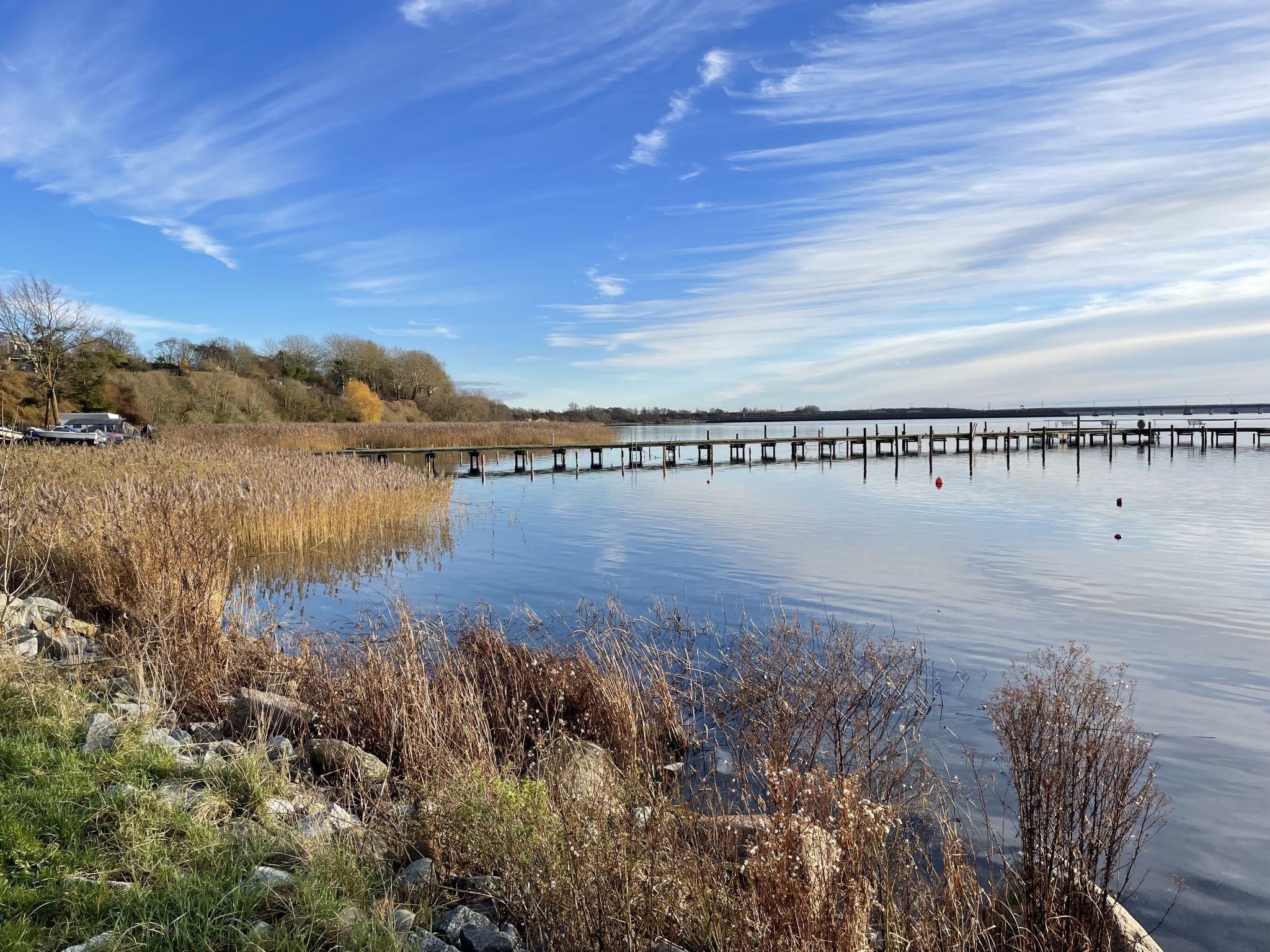 A calm lake with a wooden pier extending into the water, surrounded by grassy banks and trees.