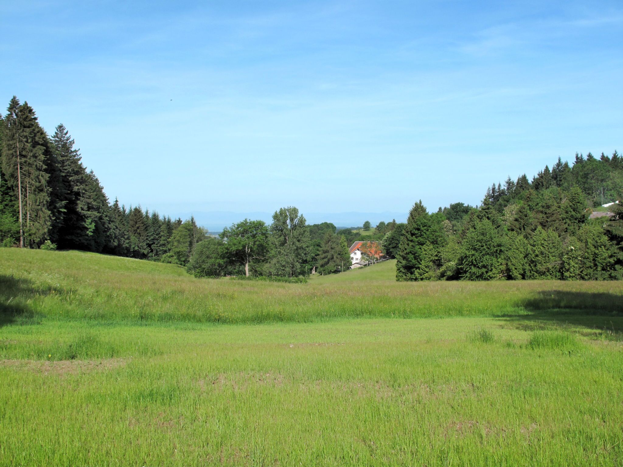 A grassy field with a house in the distance, surrounded by trees.