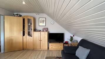 Fernseher