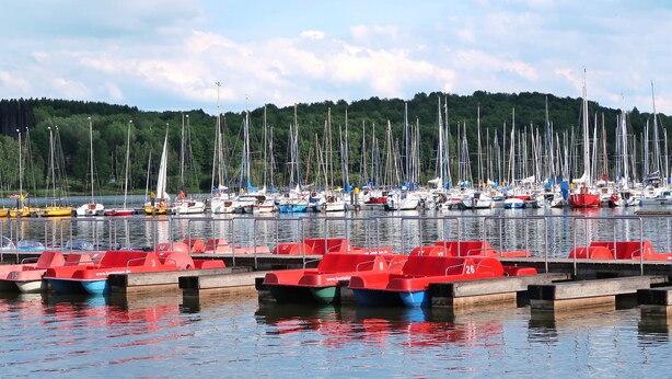 Un port de plaisance où sont amarrés de nombreux voiliers, entouré d’une colline boisée.