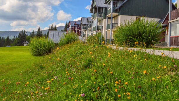 Een woonwijk met moderne huizen, een grasveld vol bloemen en een heldere lucht.