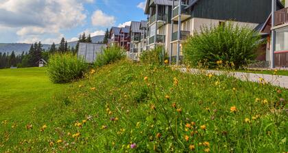 Horní Mísečky by Interhome