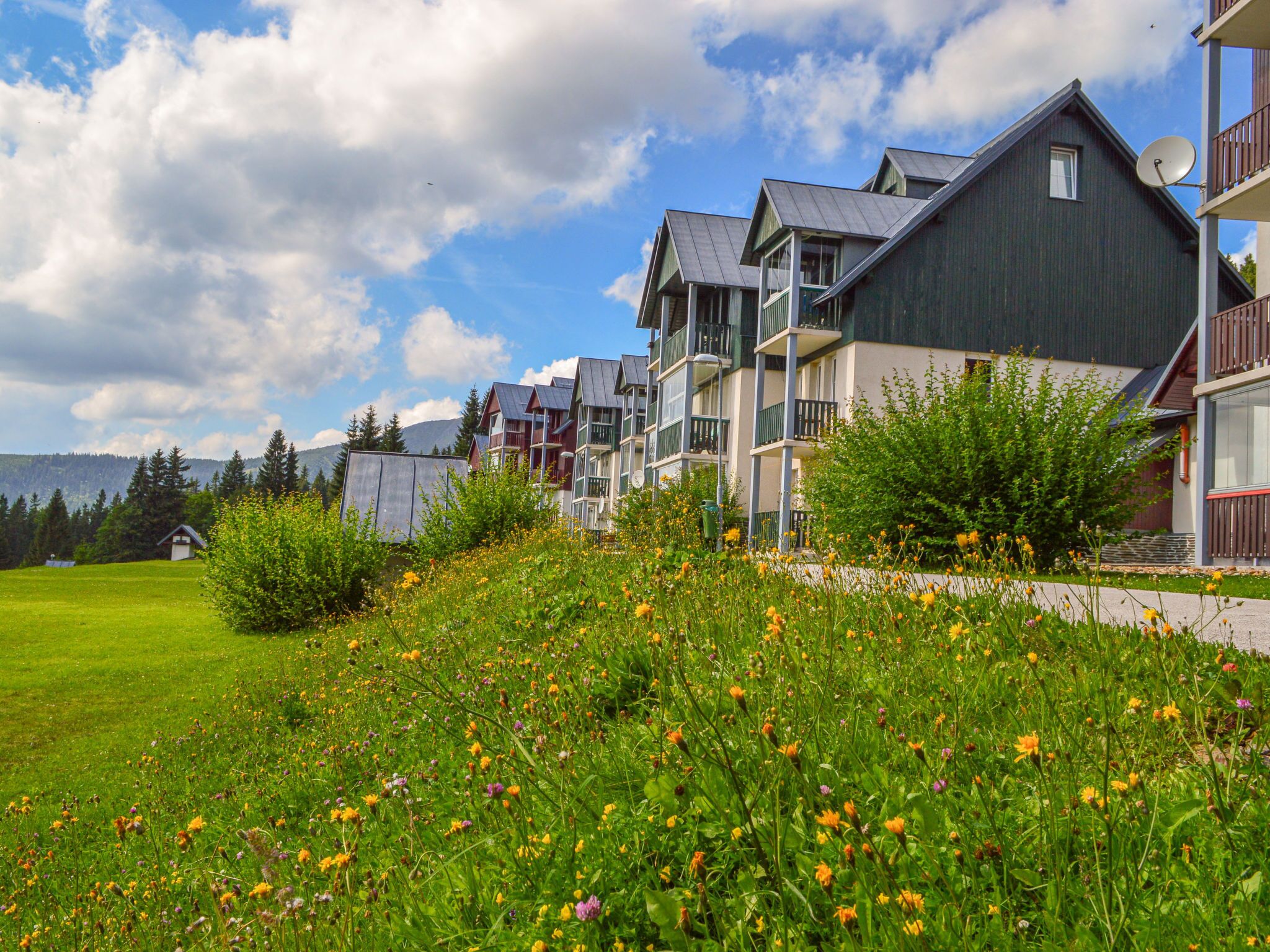 Àrea exterior de l'allotjament