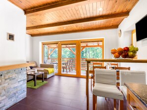 تلفزيون، مدفأة