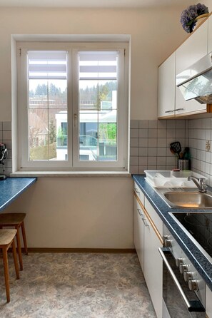 Frigorífico, microondas, horno y utensilios de cocina