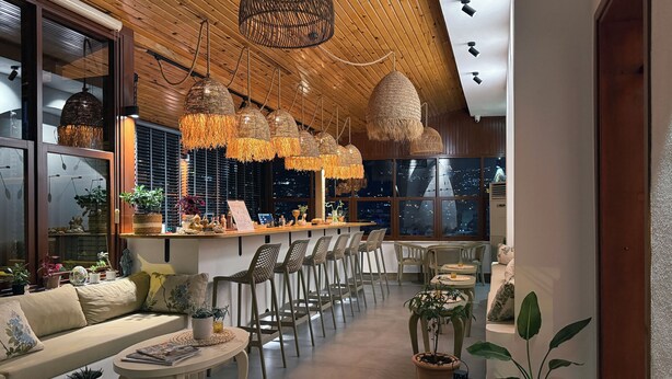 Un intérieur moderne avec un bar, des sièges et des plantes en pot.