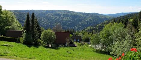 Paisaje rural con casas, vegetación y cielo despejado.