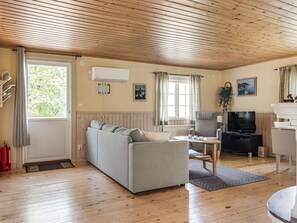 Televisión, chimenea y reproductor de DVD 