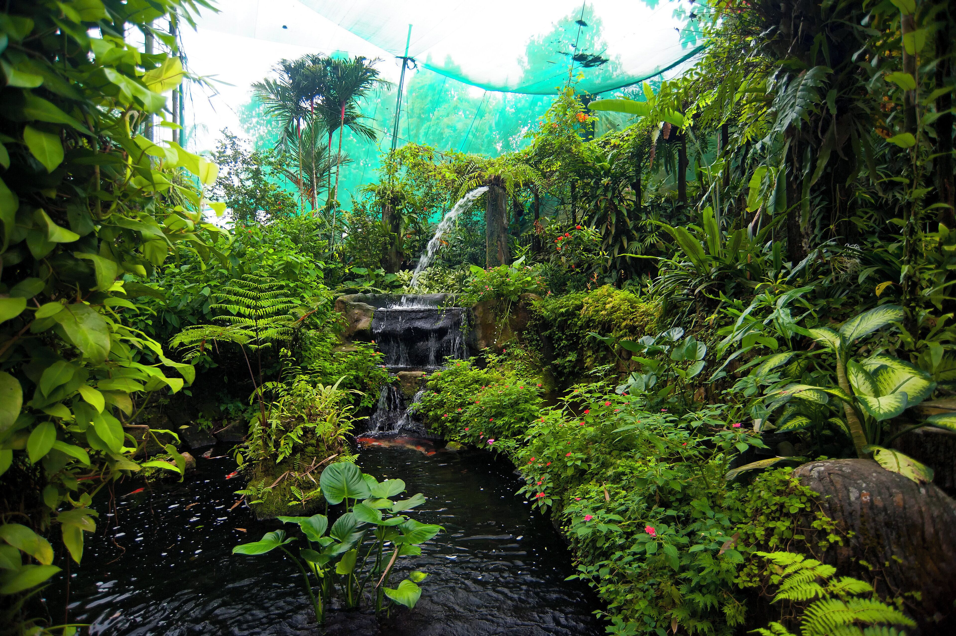 Photo - Holiday Inn Kuala Lumpur Bangsar by IHG