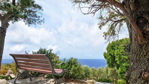 Un banc d’où l’on peut admirer la mer, entouré d’arbres et de rochers.