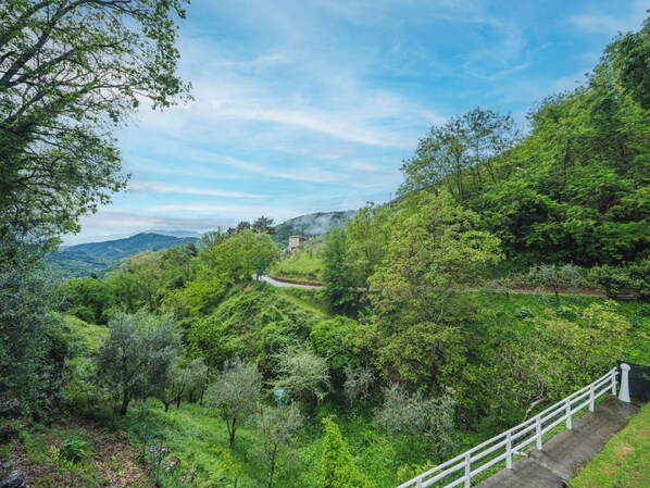 A lush green landscape with a winding road, a white railing, and a small building in the distance.