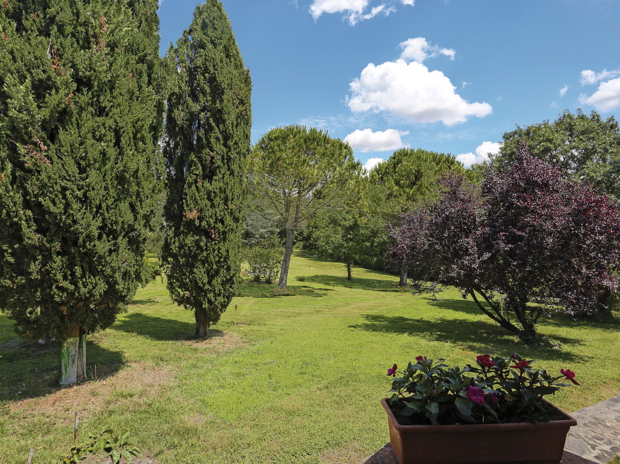 Un jardin bien entretenu, agrémenté de divers arbres et d’une plante en pot ornée de fleurs.