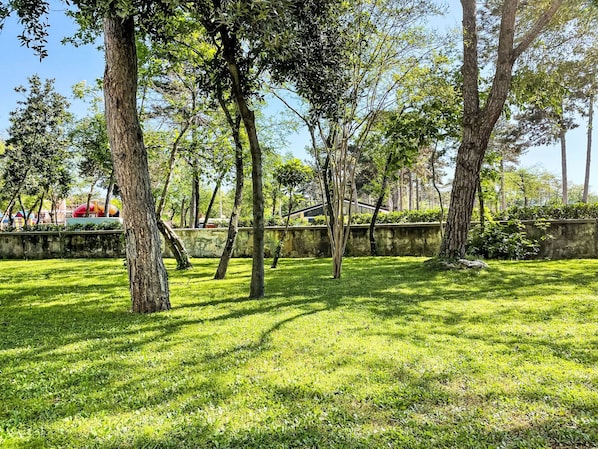 A park with trees and grass.