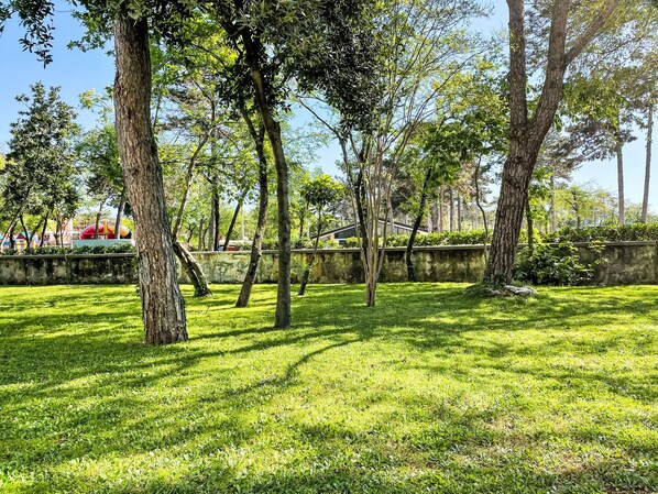 A park with trees and grass.