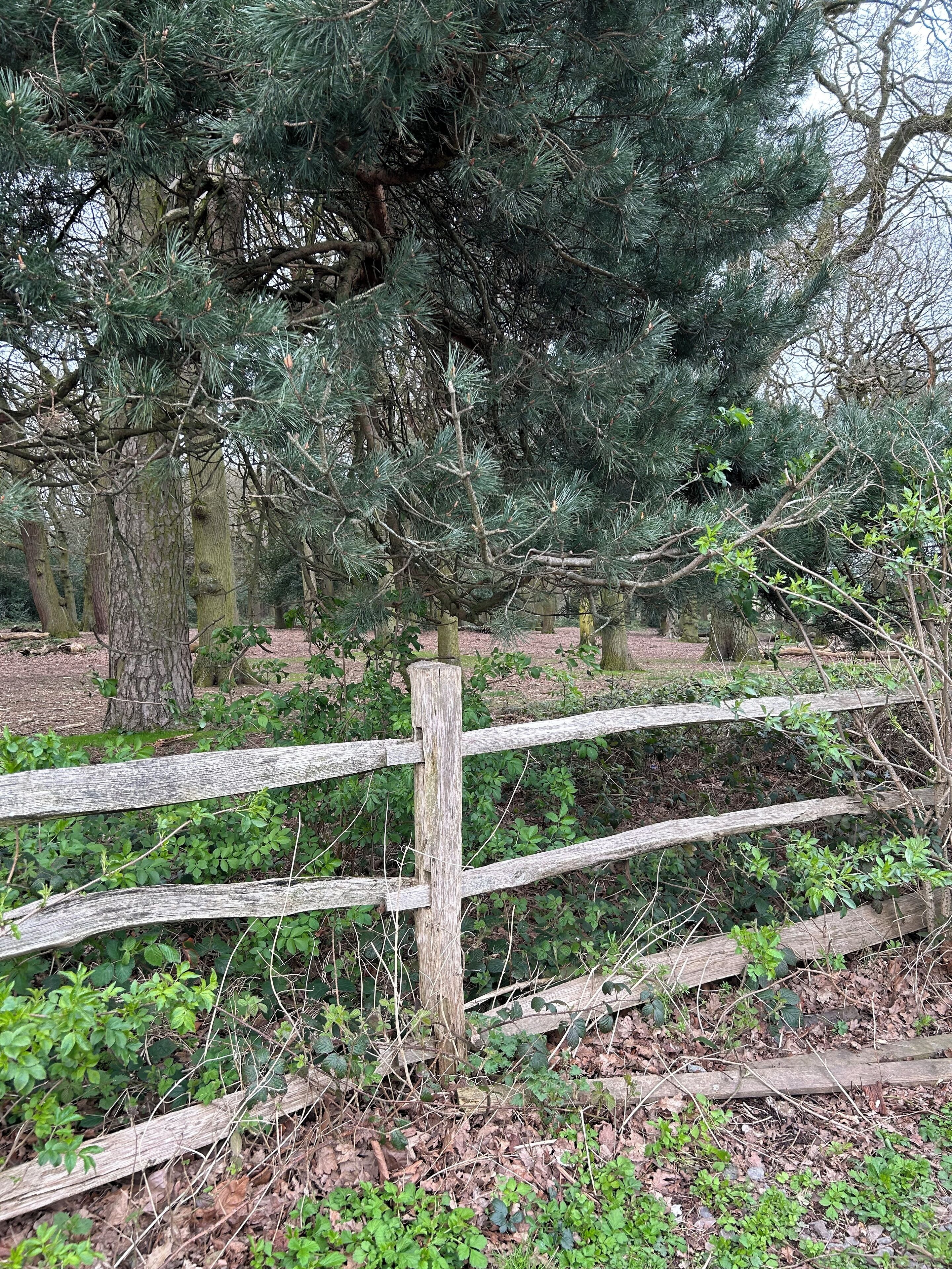 Desk, laptop workspace, free WiFi