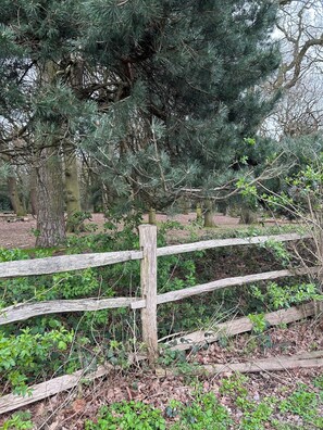 Bureau, espace de travail pour ordinateur portable, Wi-Fi gratuit