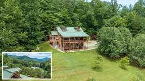 A large wooden cabin with a green roof, surrounded by dense forest.
