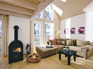 TV, fireplace, DVD player