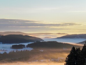 1 habitación y wifi 