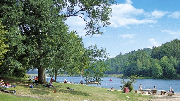 Ein Park am Seeufer mit Picknicktischen und einem Sandstrand.