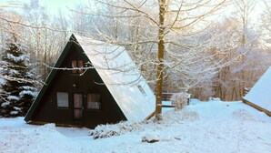 Eine Hütte mit einem dreieckigen Dach, umgeben von schneebedeckten Bäumen.