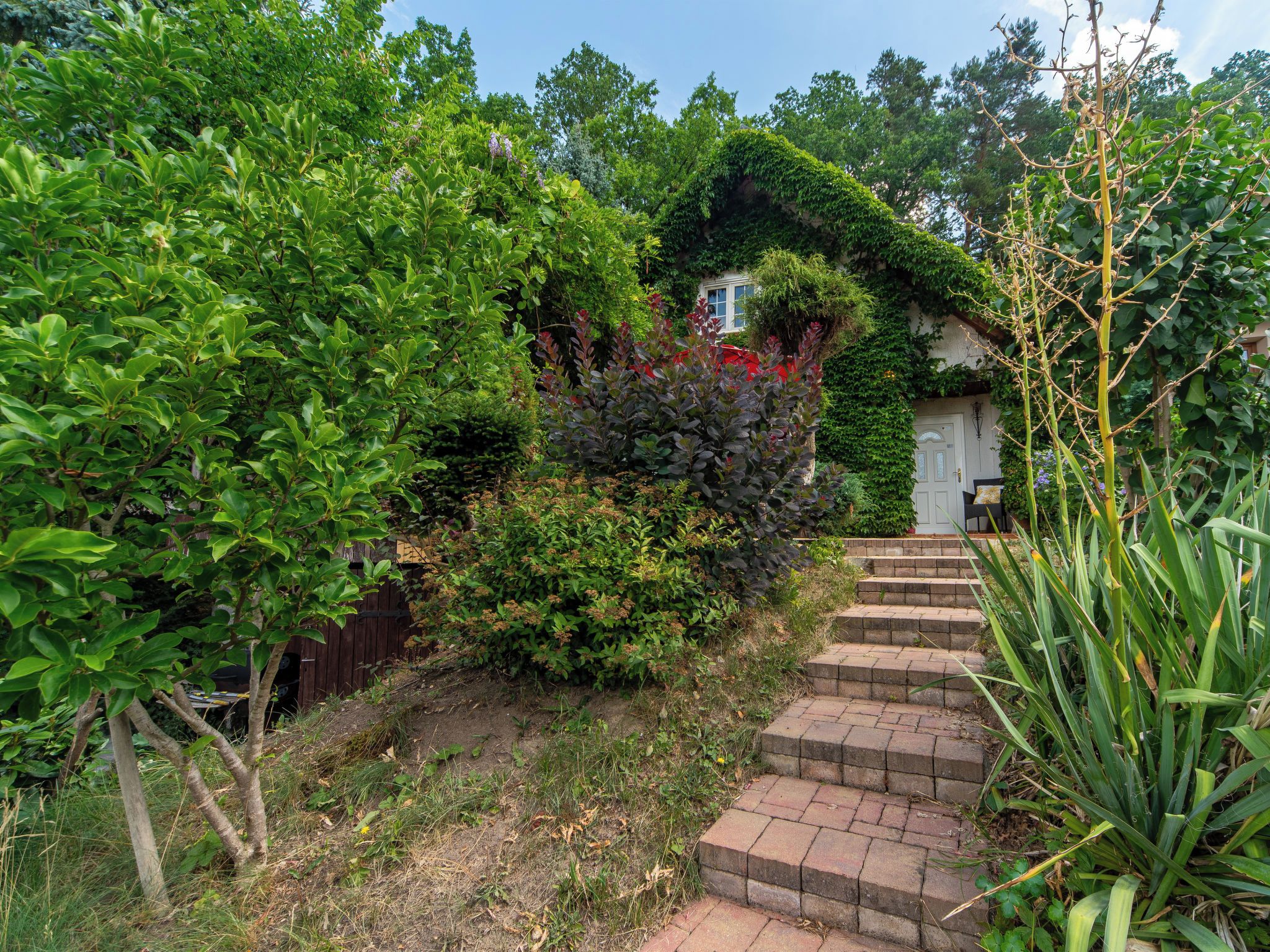 Un jardin avec un chemin en briques menant à une porte blanche, entouré d’une végétation luxuriante et de diverses plantes.